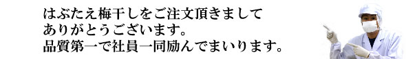 梅干し,梅,青梅,梅肉エキス,紀州南高梅干通販の専門店 はぶたえ梅干し- 深見梅店 -